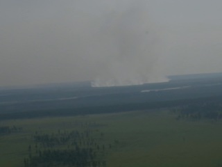 Лесные пожары продолжают бушевать в Якутии