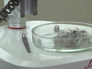 Титан, алюминий, свинец: что содержит пыль московских квартир