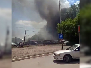 В Новосибирске "игры" детей с тополиным пухом стали причиной пожара