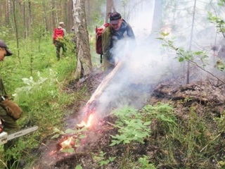 В Свердловской области горит заповедный лес