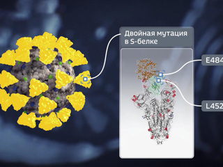 Дельта доминирует, симптомы изменились: ситуация в столице