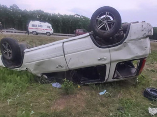 Клещ стал причиной аварии с пострадавшими в Приморье