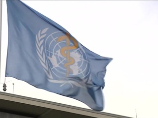 Опубликован доклад о насильниках из ВОЗ