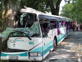 Видео из Сети. 11 пострадавших: в Калининградской области пассажирский автобус протаранил дерево