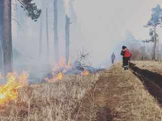 Иркутская область получила 506 млн для компенсации затрат на тушение лесных пожаров
