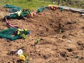 Медведь разрыл 7 могил в Хабаровском крае