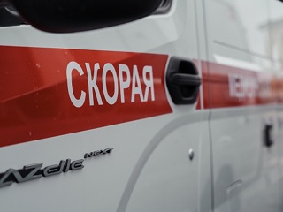 Смертельный выстрел: в Костромской области погибла 4-летняя девочка