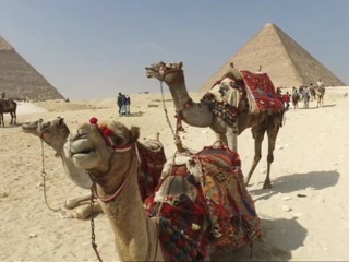 Курорты Египта еще ближе и доступнее: рейсов станет в разы больше