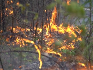 Сухие грозы могли стать причиной крупных пожаров в Челябинской области