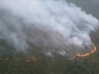 Лесные пожары: режим ЧС в Тольятти и Якутия в огне