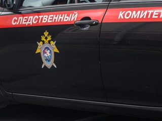 Люблю Алису: в Краснодаре мать, зарезавшая свою дочь, написала записку