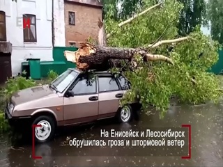 Слопанные деревья, разбитые машины: в Красноярском крае пронесся ураган