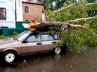 Сломанные деревья, разбитые машины: в Красноярском крае пронесся ураган