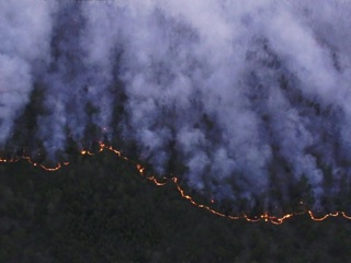 Дым от лесных пожаров распространился в 38 районах Иркутской области