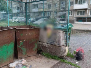 Тело новорожденной девочки найдено в мусорном баке в Ачинске