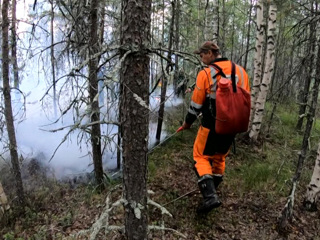 Борьбу с лесными пожарами в Выборгском районе ведут военнослужащие