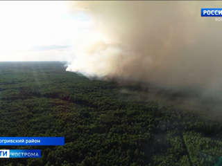 В Костромской области борются с крупнейшим за 20 лет лесным пожаром