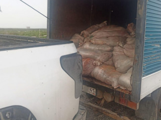 Житель Камчатки наловил рыбы на уголовное дело