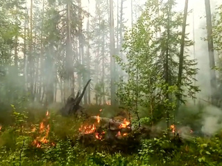 В Свердловской области бушуют лесные пожары