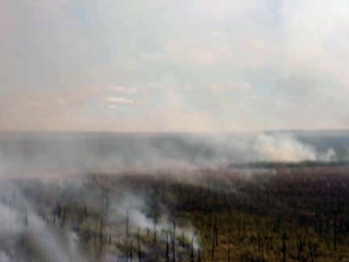 Дым от пожаров в Красноярском крае, Приангарье и Якутии дошел до Тувы