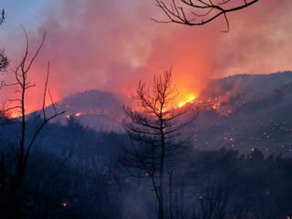 Лесные пожары в Турции не напугали российских туристов