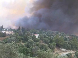 Задержан возможный поджигатель леса в Турции