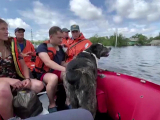 Вести. Эфир от 07.08.2021 (11:00)