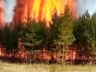 2 км до цели: в Башкирии рядом с деревней загорелись хвойные леса