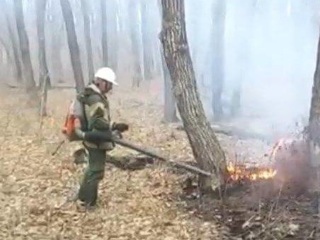 В Приморье отменяется особый противопожарный режим