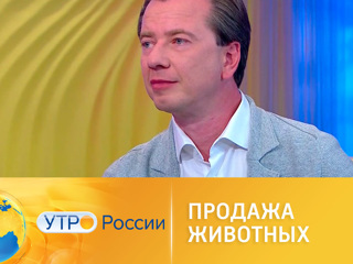 Утро России. Продажа животных