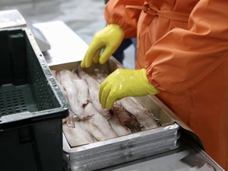 Экспорт рыбной продукции из Приморья в Южную Корею вырос почти в 2 раза