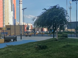Погода 24. В ближайшие часы Москву накроет шторм