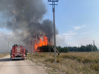 В Татарстане вспыхнул лесной пожар