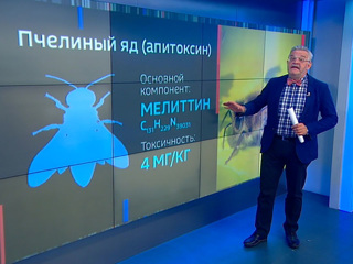 Научпоп. Сочинский блогер медитирует с роем пчел на теле