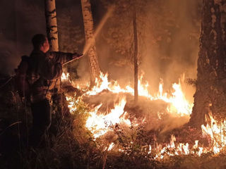 На Урале из-за лесных пожаров эвакуировали жителей населенного пункта