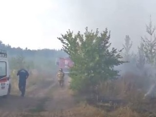В Тольятти из-за лесных пожаров введен режим ЧС