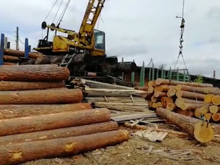 Сделка на 130 миллионов. Дело о контрабанде леса в Китай возбуждено в Иркутской области