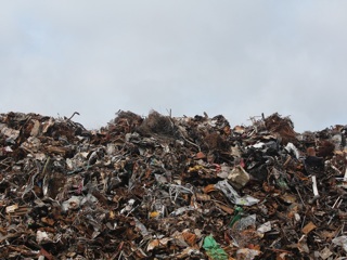 В Биробиджане со двора одного из домов уже год не вывозят мусор