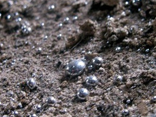 Опасное загрязнение почвы металлами зафиксировали на Урале
