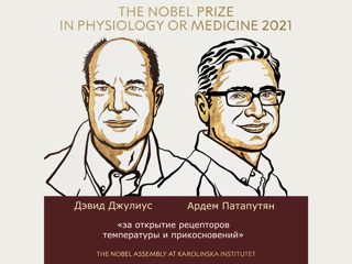 Все градусы чувств: в чем суть открытия нобелевских лауреатов по физиологии