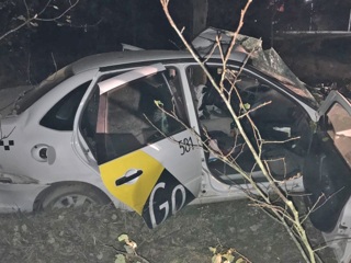 В Тамбове водитель такси погиб, врезавшись в дерево