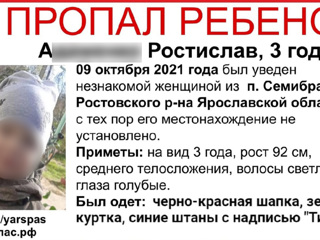 В Ярославской области ищут 3-летнего мальчика. Возможно, его похитили