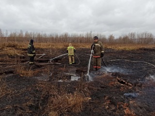 Торфяной пожар в Екатеринбурге ликвидирован