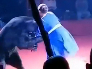 Медведь напал в цирке на беременную девушку