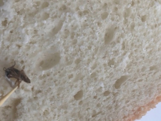 Хлеб из костромской булочной удивил мерзкой "изюминкой"