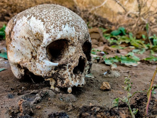 Человеческий череп нашли на берегу реки в Саратовской области