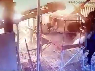 Появилось видео момента взрыва на производстве пороха в Рязанской области