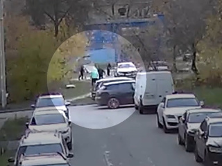 Бойцовский пес напал на женщину с таксой в Дзержинске