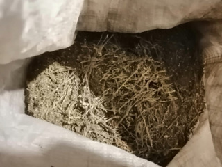Красноярские полицейские нашли на кухне мешок с марихуаной