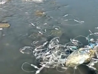 В реке Дагестана обнаружили 10 мешков с медицинскими отходами